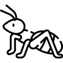 Dans l'année